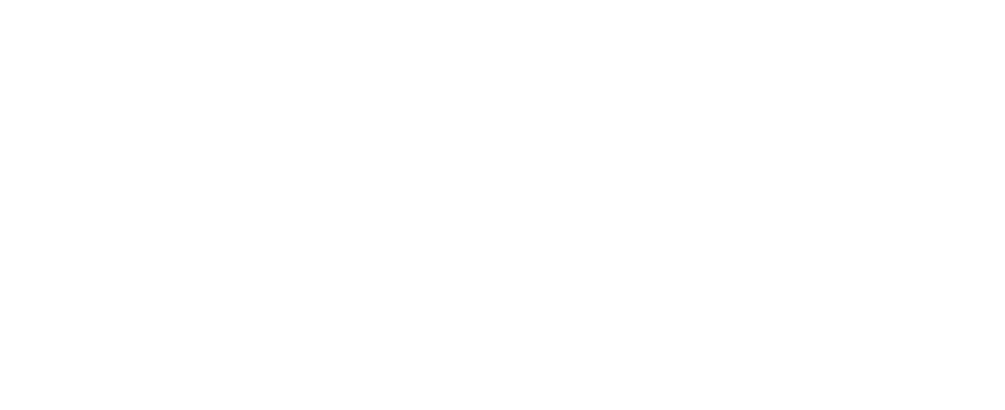 logo venturim